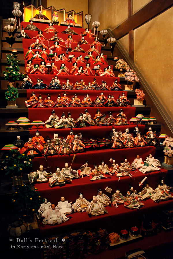 Monkey Island Panama Tour