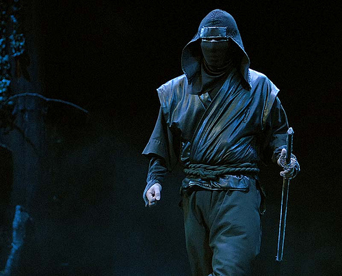 shinobi shinobi