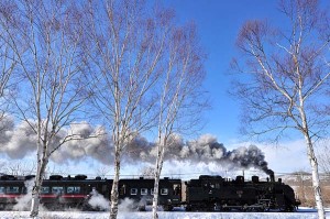 Japanese train