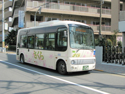sakura bus