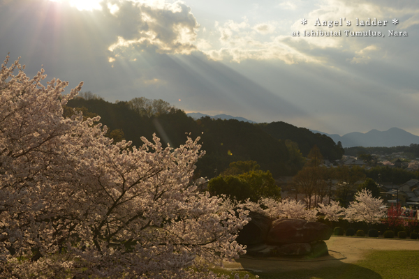 2010421_photoblog_Ishibutai burial mound and sun's rays