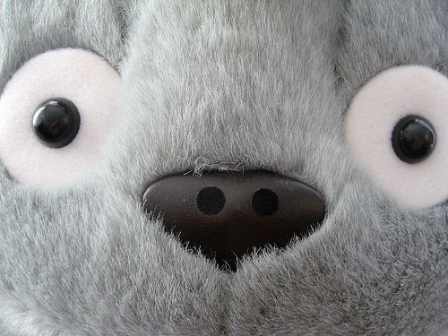 totoro