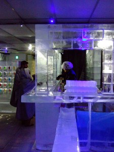 ice bar in Tokyo