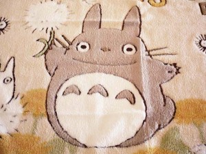 totoro blanket