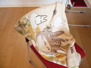 totoro blanket