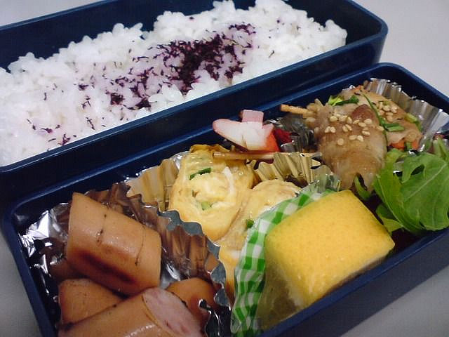 Japanese bento lunch box