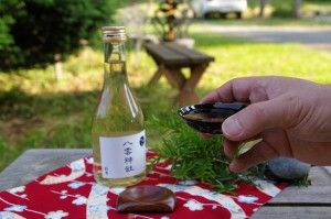 Japanese iron sake cup