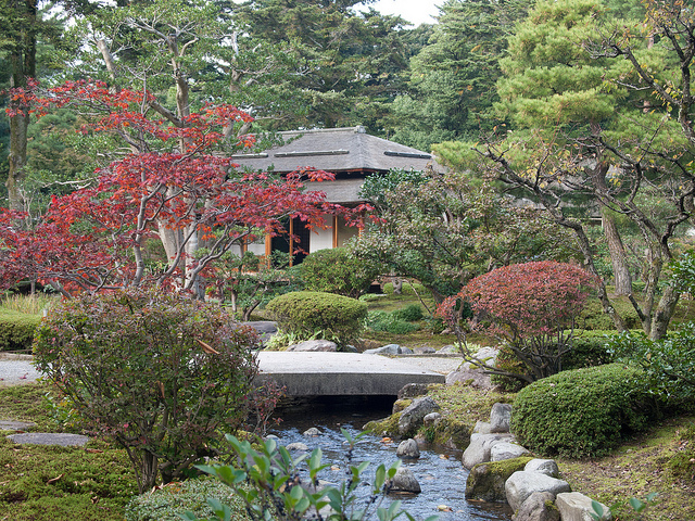 japanese garden