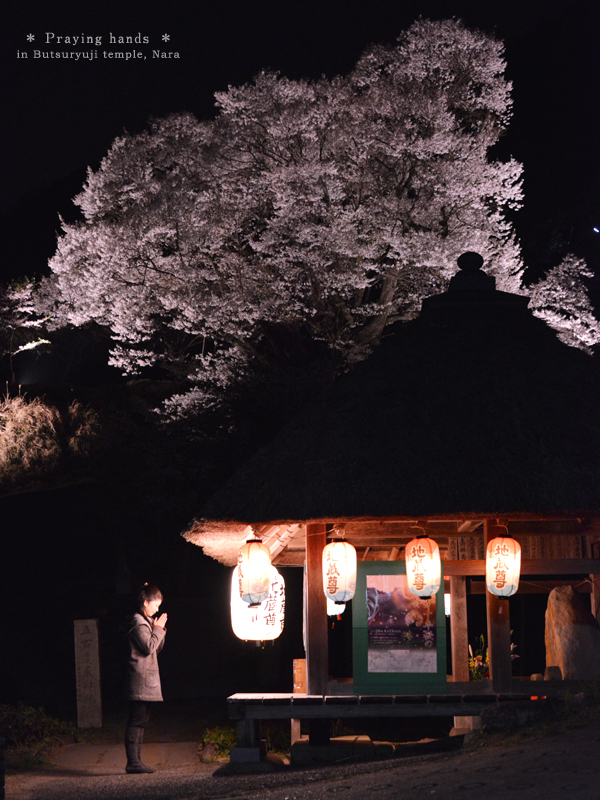 20140427_photoblog_prayer at buturyuji temple
