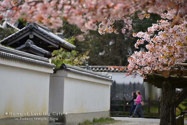 20140427_photoblog_remain of west gate of todaiji-temple