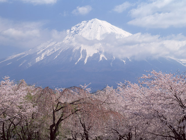 japanese fuji mountain