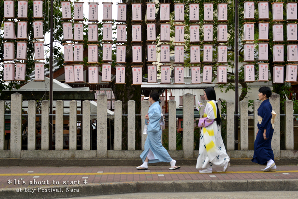 20140624_photoblog_approach to isagawa shrine