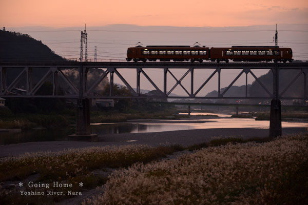 japanese train