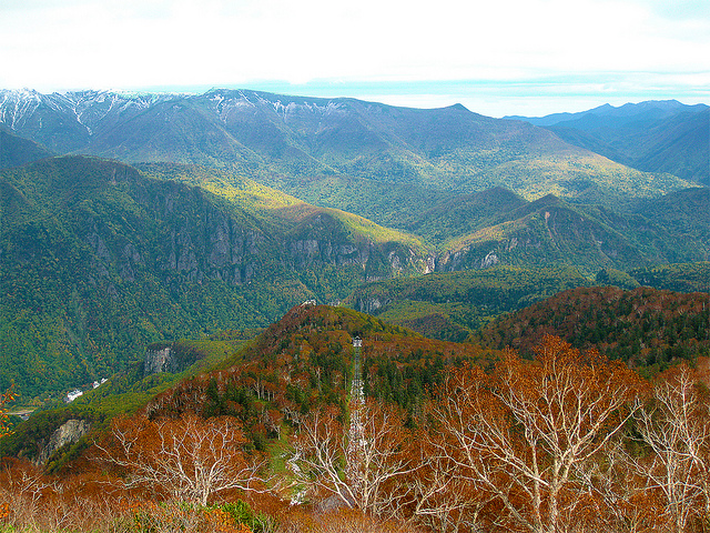 autumn view in Japan