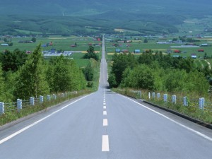 Hitchhiking