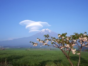 Mt. Fuji