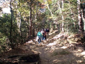 mt.takao