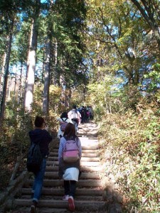 mt.takao