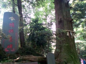 mount takao