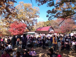 mt.takao