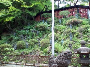 mount takao