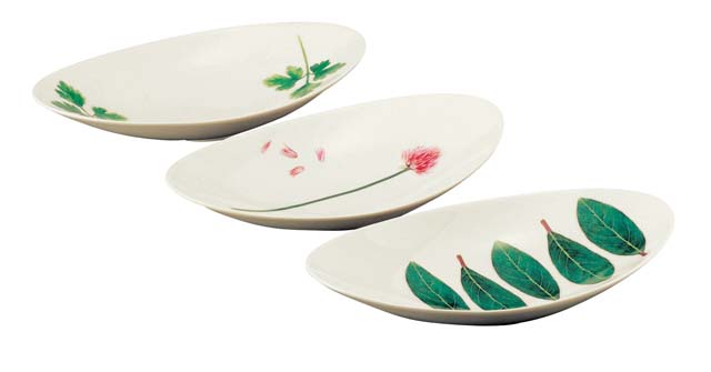 japanese plates