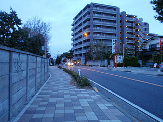 Midnight Full-Marathon in Tokyo