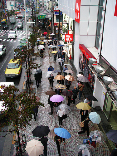 Umbrella