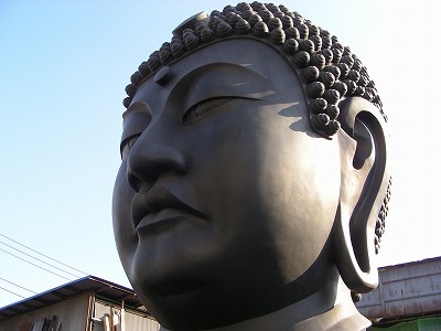 Buddha head