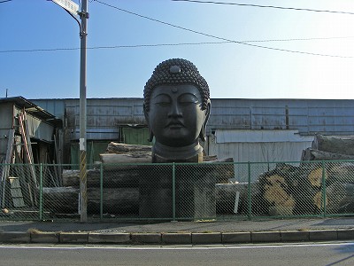 Buddha head