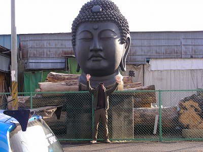 Buddha head