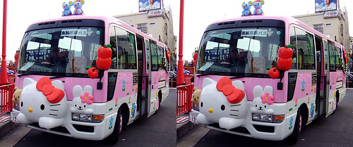 kitty bus