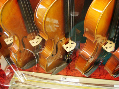 violin