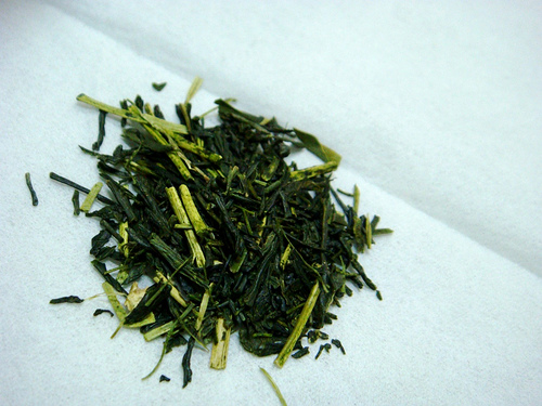 Japanese tea leaf