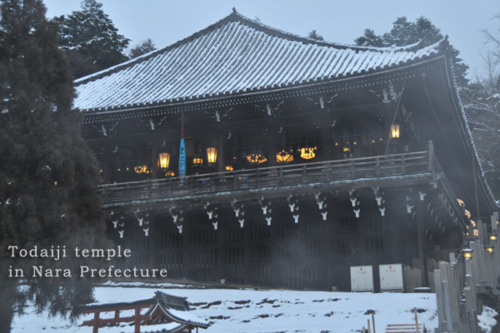 todaiji temple
