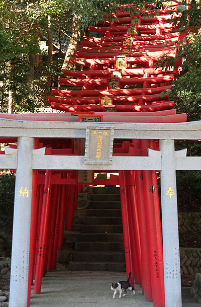 Japanese torii