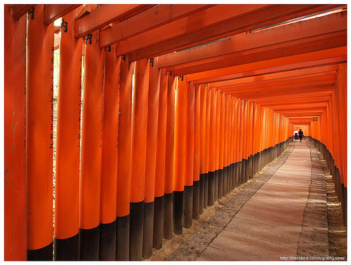 torii