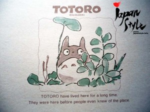 totoro blanket