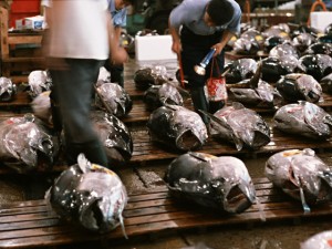 tsukiji