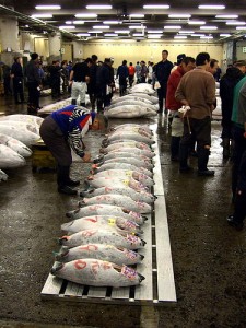 Tuna Fish Sold in Tsukiji. "水泳男" some rights reserved. flickr