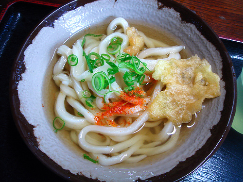 udon noodle