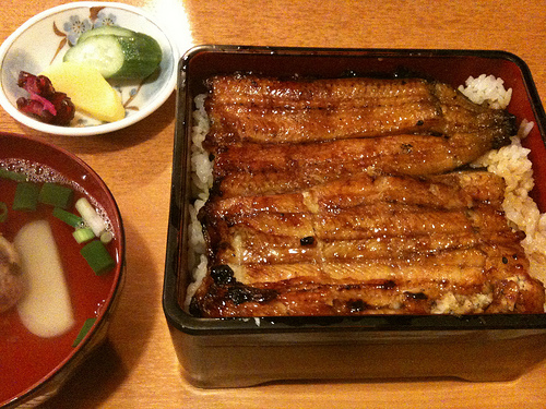 unagi