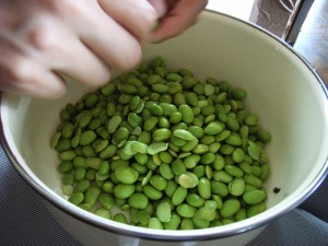 zunda beans