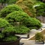 BONSAI — Japanese Miniature Tree Art