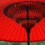 Umbrellas in Japan