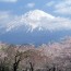 Climbing Japanese Mount Fuji