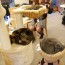 Japanese Meow Meow NEKO CAFE, cat cafe, animal therapy