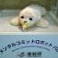 PARO — Japanese Adorable Robot Baby Seal, animal therapy