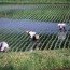 Agriculture Boom among Youngs in Japan