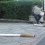 Mystery of Huge Tobaccos on a Street of Tokyo